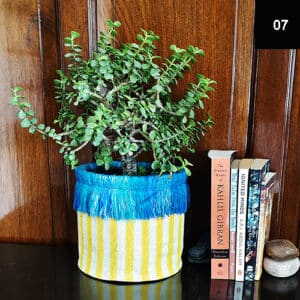 Yellow Stripes with Blue Tassels | Size 7 inch| TWC07224