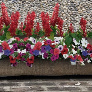The WildCat Golden Weaves Flower Bed Geotextile Planter for Fresh Vegetables, Herbs, Flowers & Succulents 72” x 15” x 12”