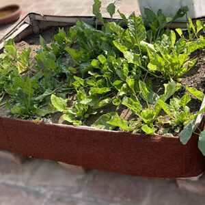 Terrace Gardening Tub Without Cover