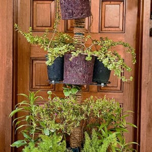 Iron Stand 40 inches tall with Jute