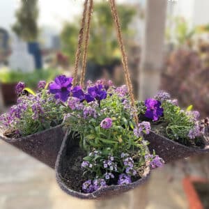 Vertical Star Hanger Geotextile Planter for Flowers & Succulents