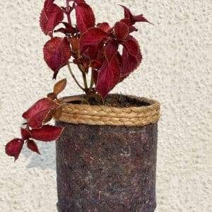 Geotextile Pot with Jute Plaits Sizes from 6" to 12"|TWCJ04