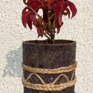 Geotextile Pot with Jute Mid Plaits | Sizes from 6" to 12"|TWCJ01