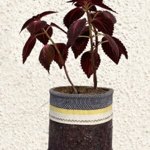 Geotextile Pot Peppy Colors 1, sizes from 6" to 12"|TWCH40