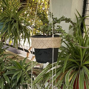 Hanging Pot Ring (2 level)