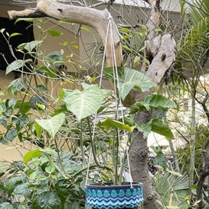 Hanging Pot Ring in Blue