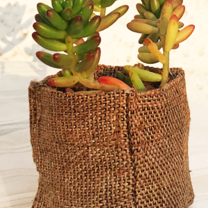 Golden Weaves 3x3 inch Pot Cover