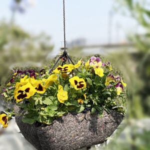 Hanging Basket with Single Rope