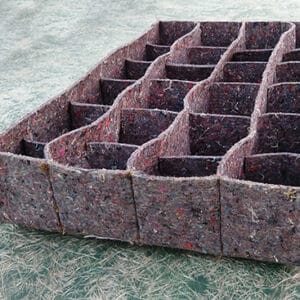 Seed Tray with Partitions