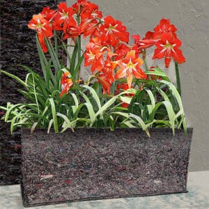 20 x 10x 8 inch Geotextile Grow Bag