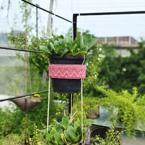 Red Hanging Pot Ring (2 level)