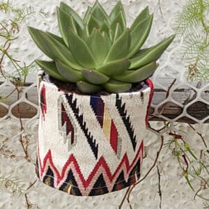 RedIndian 3x3 inch Pot