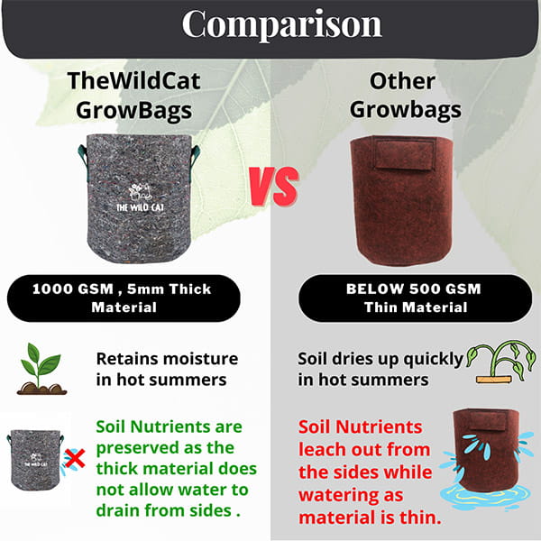 Comparison – 1